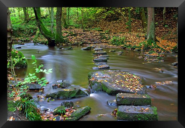 Autumn River Stones Framed Print by Phil Swindin