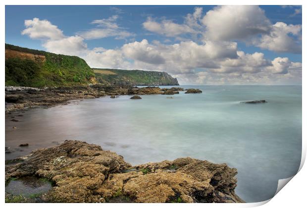 Nare head from Carne beach Roseland Cornwall Print by Eddie John