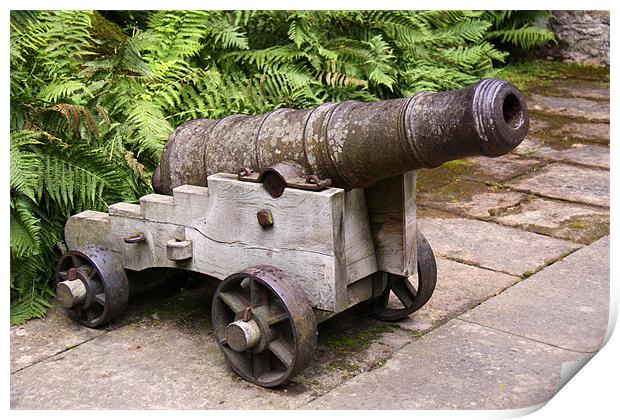 Ancient cannon at Cawdor Castle Print by Linda More