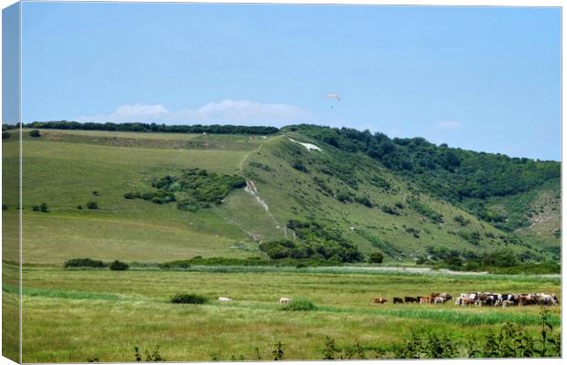 The White Horse at Litlington Canvas Print by Diana Mower