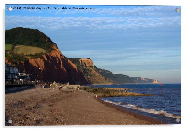 Sidmouth Beach Acrylic by Chris Day