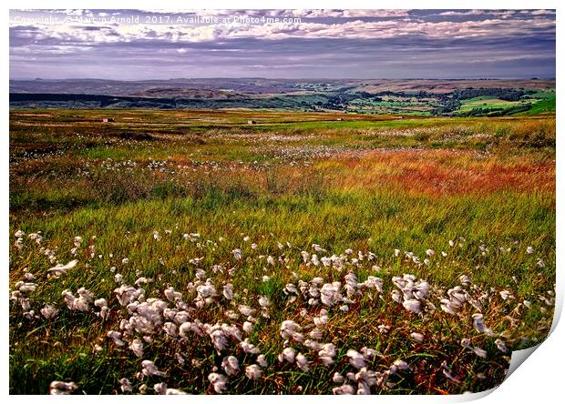 Cotton Grass on the Yorkshire Moors Print by Martyn Arnold