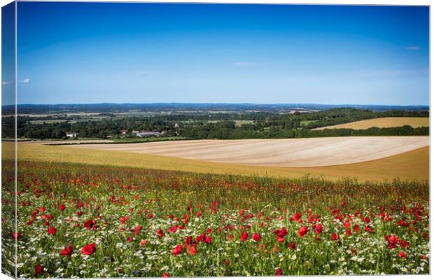Summer Poppies At Firle Canvas Print by Phil Clements