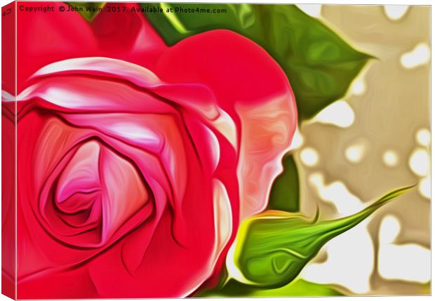 Red Rose (Digital Art) Canvas Print by John Wain