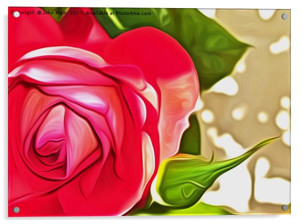 Red Rose (Digital Art) Acrylic by John Wain