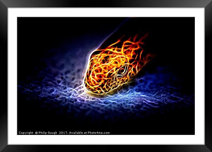 Slither Framed Mounted Print by Philip Gough
