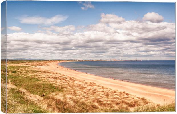 The Beach at Seaton Sluice  Canvas Print by Naylor's Photography