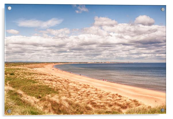 The Beach at Seaton Sluice  Acrylic by Naylor's Photography
