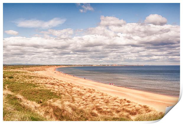 The Beach at Seaton Sluice  Print by Naylor's Photography