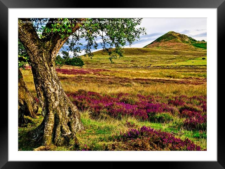 Heather on the North Yorkshire Moors Framed Mounted Print by Martyn Arnold