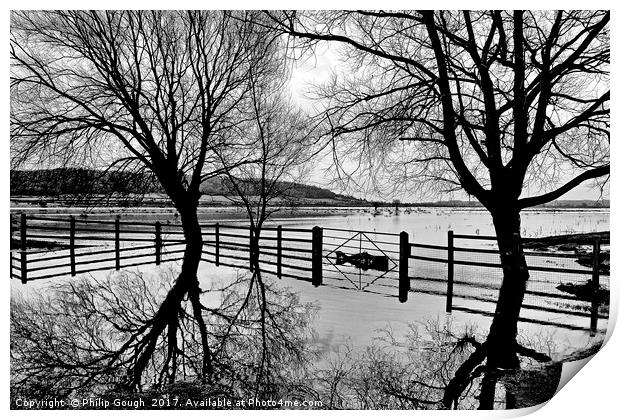 Somerset Levels Floods Print by Philip Gough