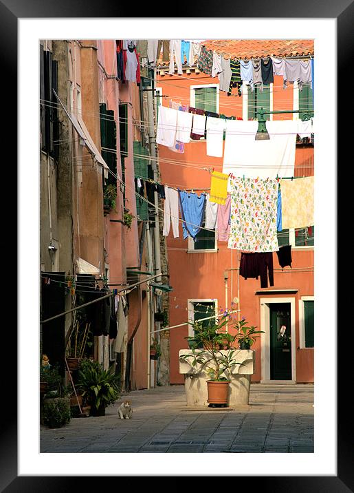 Washday in Venice Framed Mounted Print by Lucy Antony