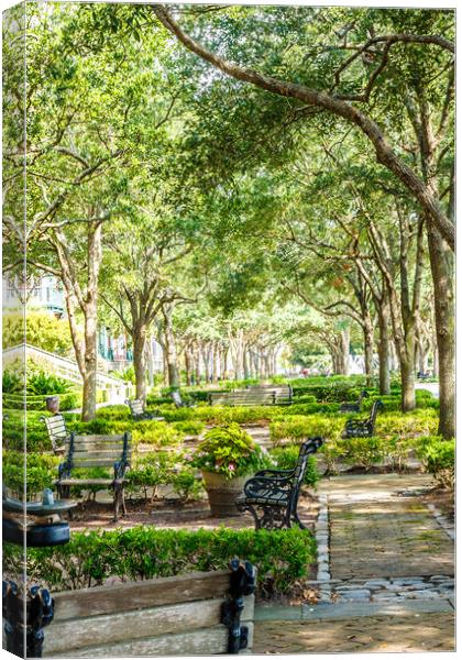 Beautiful Park in Charleston Canvas Print by Darryl Brooks