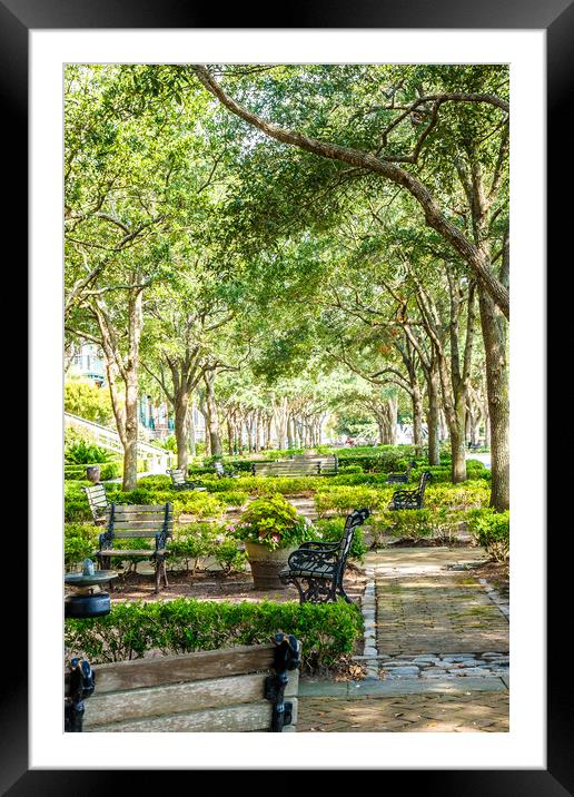 Beautiful Park in Charleston Framed Mounted Print by Darryl Brooks