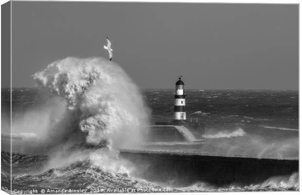 Rough Seas at Seaham in County Durham Canvas Print by AMANDA AINSLEY