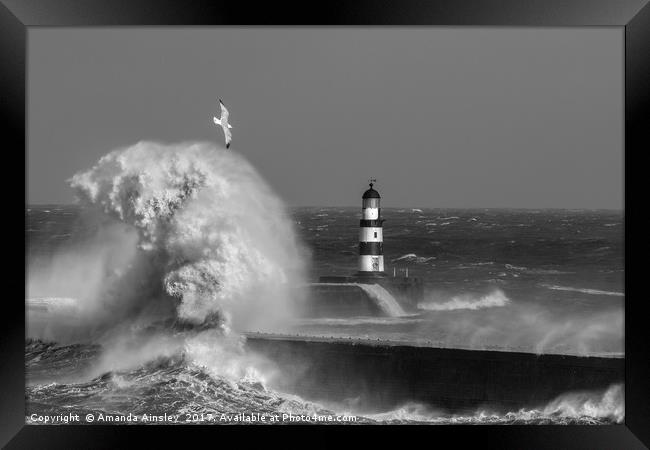 Rough Seas at Seaham in County Durham Framed Print by AMANDA AINSLEY