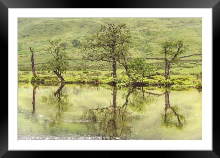 Reflections on Cona Glen Framed Mounted Print by AMANDA AINSLEY