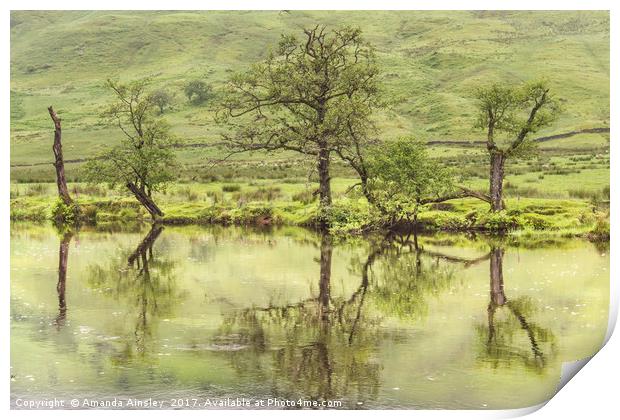 Reflections on Cona Glen Print by AMANDA AINSLEY