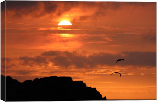 Sunset over the Moray Firth Canvas Print by alan todd