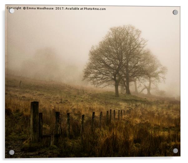 Misty Trees Acrylic by Emma Woodhouse