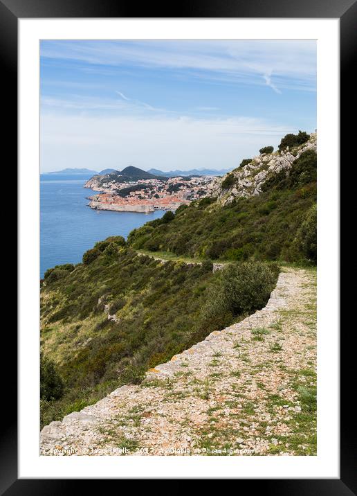 Stone path leads downhill Framed Mounted Print by Jason Wells