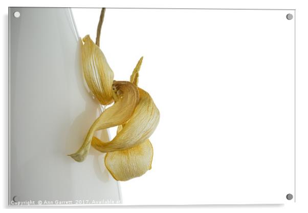 Tulip Curl Acrylic by Ann Garrett
