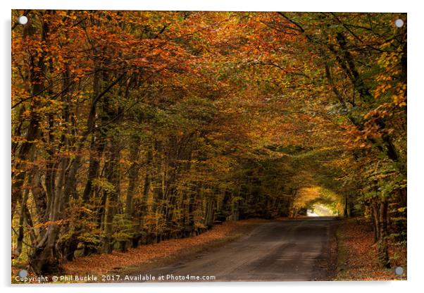 Autumn Colours Acrylic by Phil Buckle