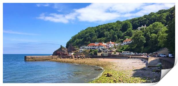 Babbacombe beach and harbour Print by Anthony Kellaway