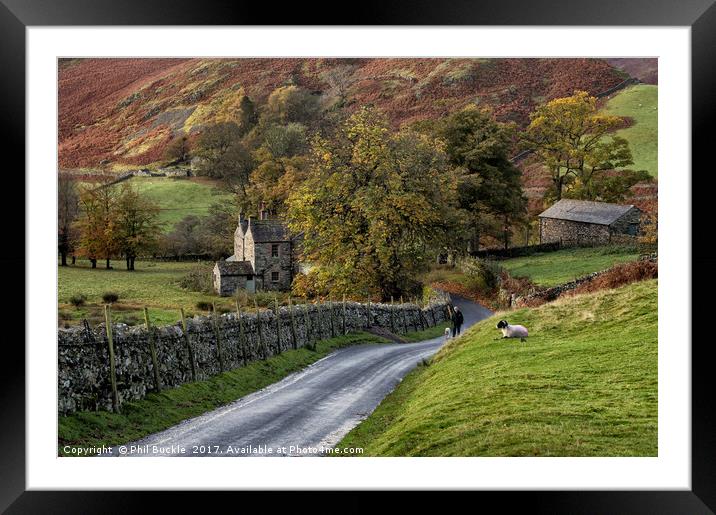 Autumn in Martindale Framed Mounted Print by Phil Buckle