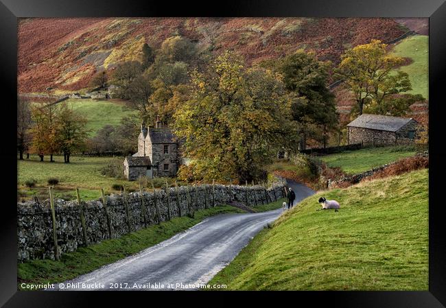 Autumn in Martindale Framed Print by Phil Buckle