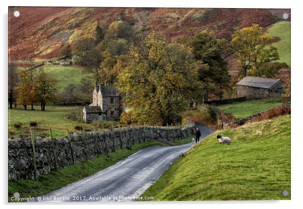 Autumn in Martindale Acrylic by Phil Buckle