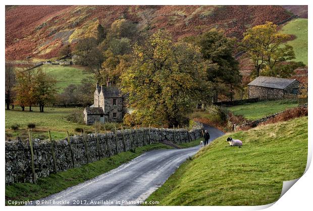Autumn in Martindale Print by Phil Buckle