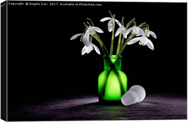 Snowdrops Canvas Print by Angela Carr