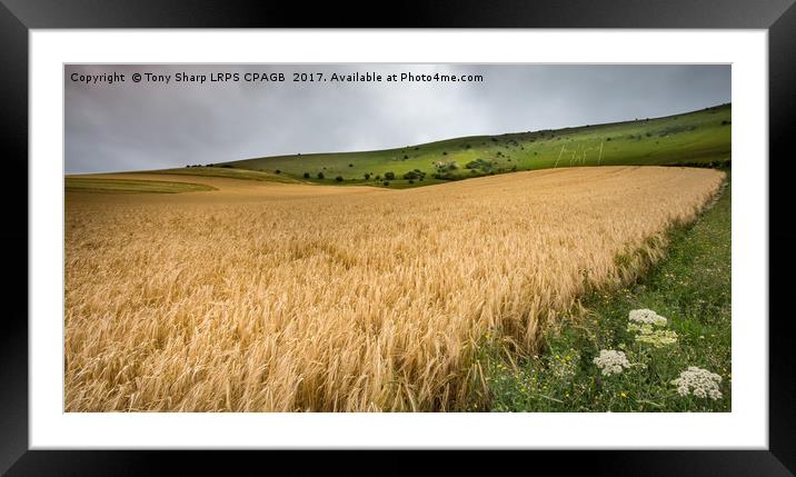 THE LONG MAN OF WILMINGTON ABOVE A FIELD OF WHEAT Framed Mounted Print by Tony Sharp LRPS CPAGB