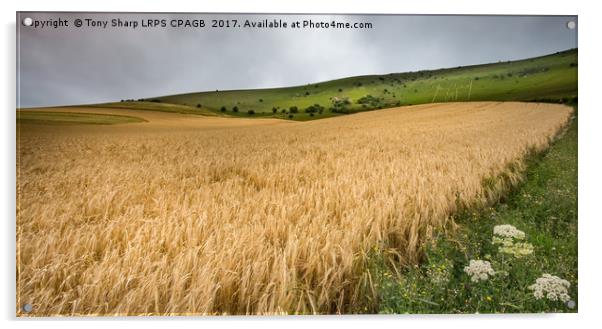 THE LONG MAN OF WILMINGTON ABOVE A FIELD OF WHEAT Acrylic by Tony Sharp LRPS CPAGB