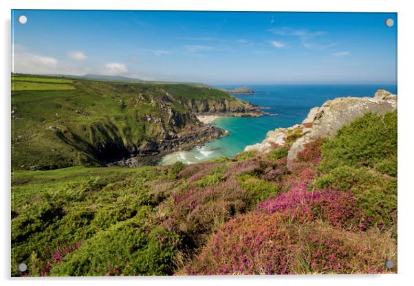 Pendour cove from the headland of Zennor cliffs Co Acrylic by Eddie John