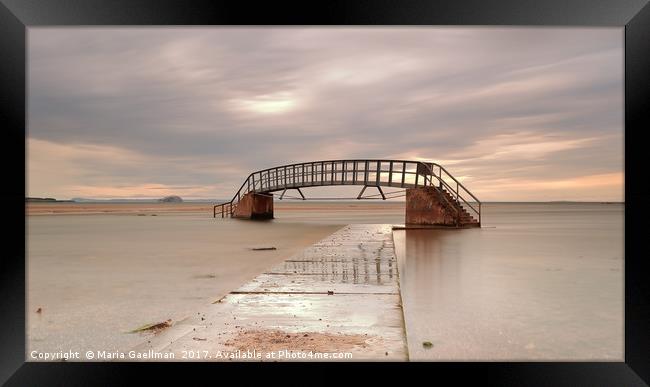 Belhaven Stairs and The Bass at Low Tide Framed Print by Maria Gaellman