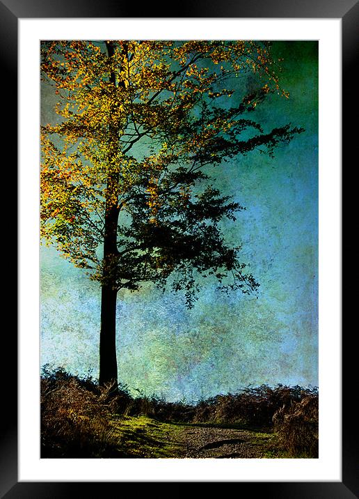 One Tree Framed Mounted Print by Ann Garrett