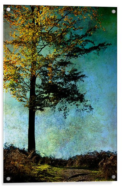 One Tree Acrylic by Ann Garrett