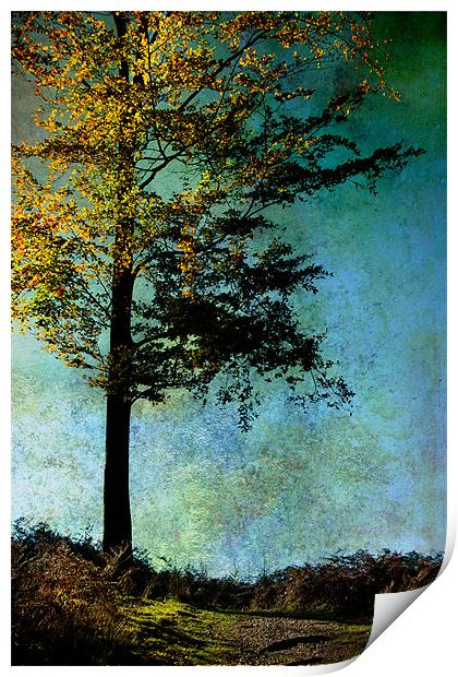 One Tree Print by Ann Garrett