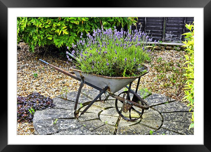Garden In a Wheelbarrow Framed Mounted Print by Philip Gough