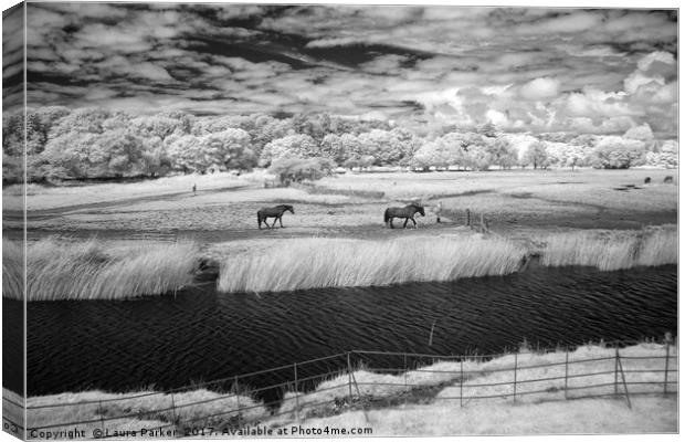 Horses at Ogmore Canvas Print by Laura Parker