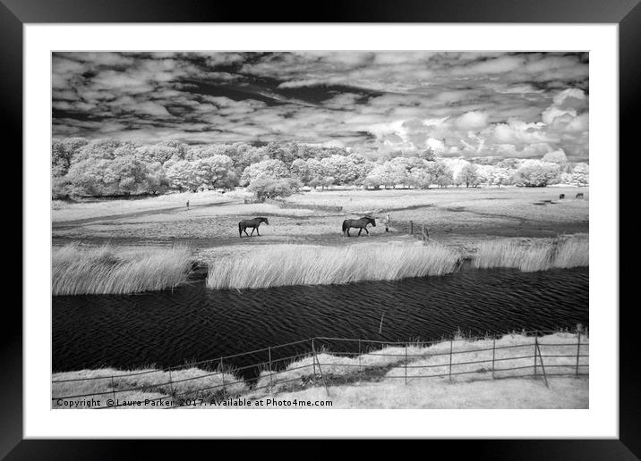 Horses at Ogmore Framed Mounted Print by Laura Parker
