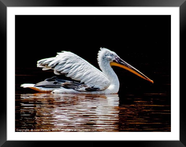Gliding across the Lake Framed Mounted Print by Jane Metters