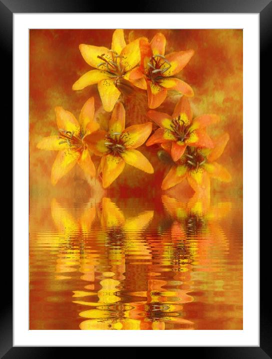 ripples Framed Mounted Print by sue davies