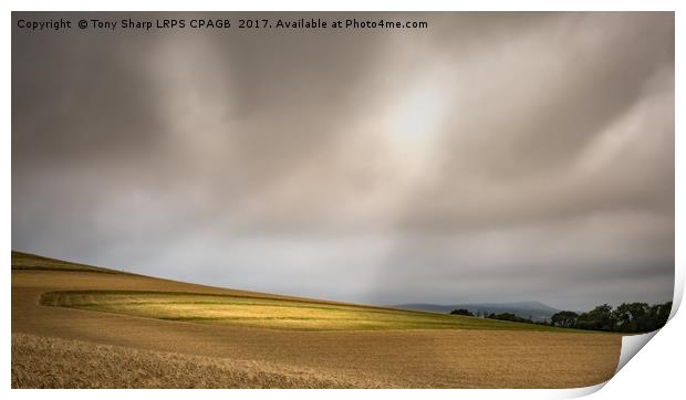 GOLDEN POOL OF LIGHT Print by Tony Sharp LRPS CPAGB