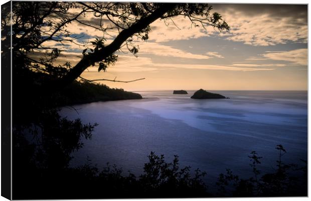 Thatchers Rock and Hope Nose At Sunset Canvas Print by rawshutterbug 
