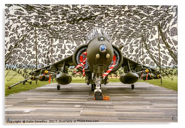 Harrier hiding Acrylic by Colin Smedley