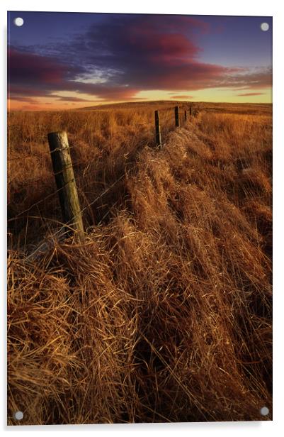 moorland sunset Acrylic by Robert Fielding