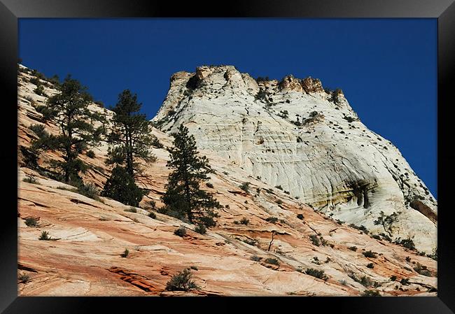Zion Beehive Framed Print by Mary Lane